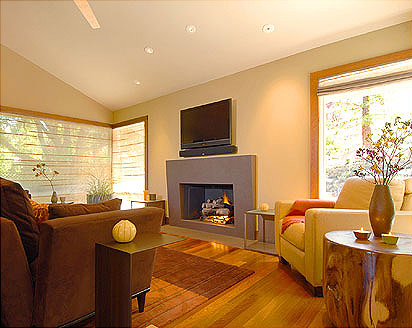 modern elegance living room